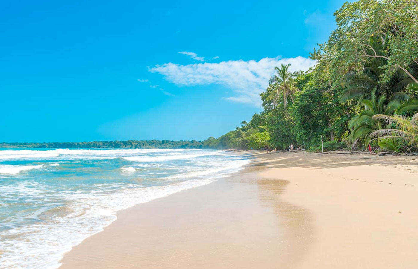 https://puertoviejo.info/wp-content/uploads/2024/11/cahuita-costarica.jpg