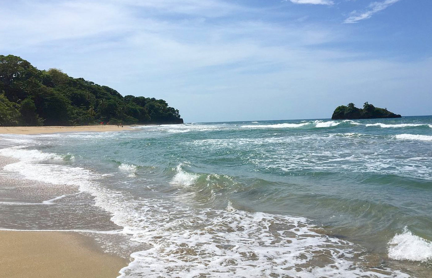https://puertoviejo.info/wp-content/uploads/2024/11/cocles-costarica-1.jpg