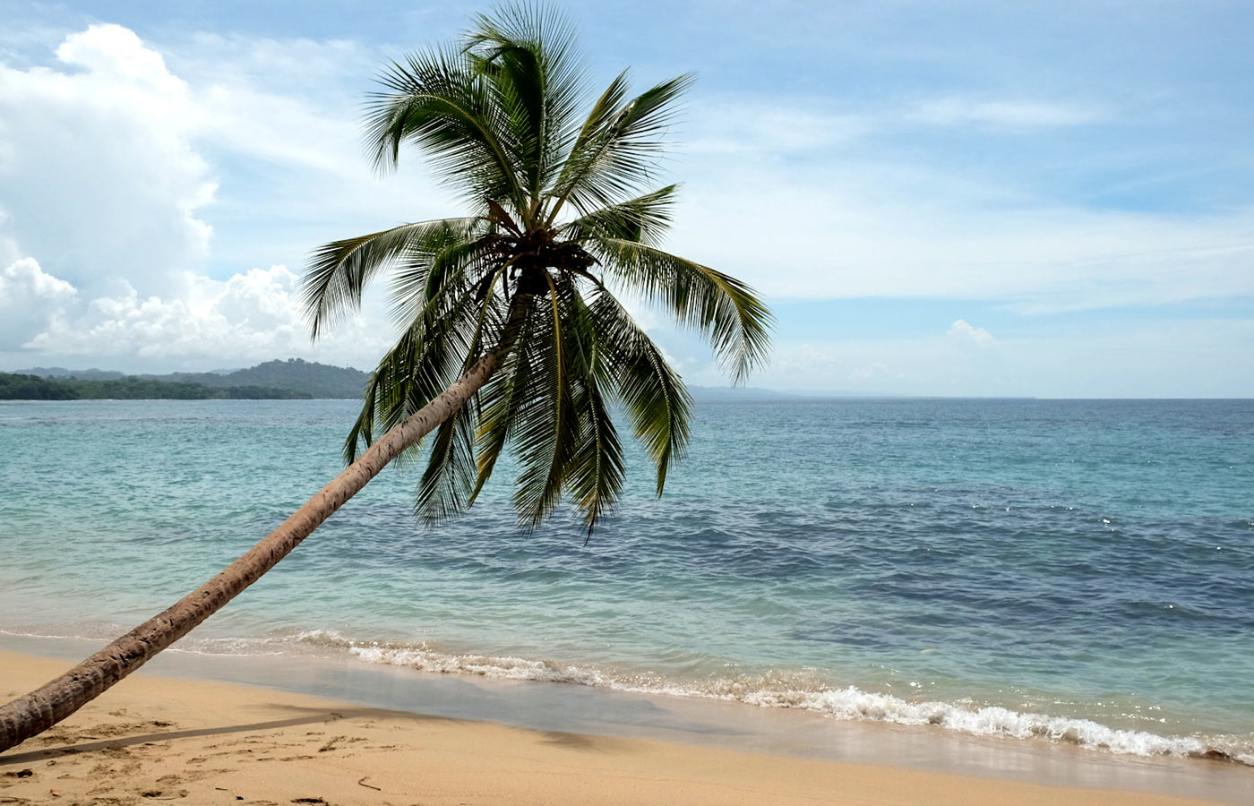 https://puertoviejo.info/wp-content/uploads/2024/11/punta-uva-costa-rica2.jpg